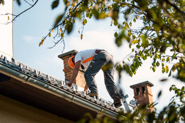 Best Metal Roofing Contractor  in West Mayfield, PA